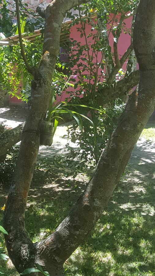 טרנקוסו Pousada Grafite מראה חיצוני תמונה
